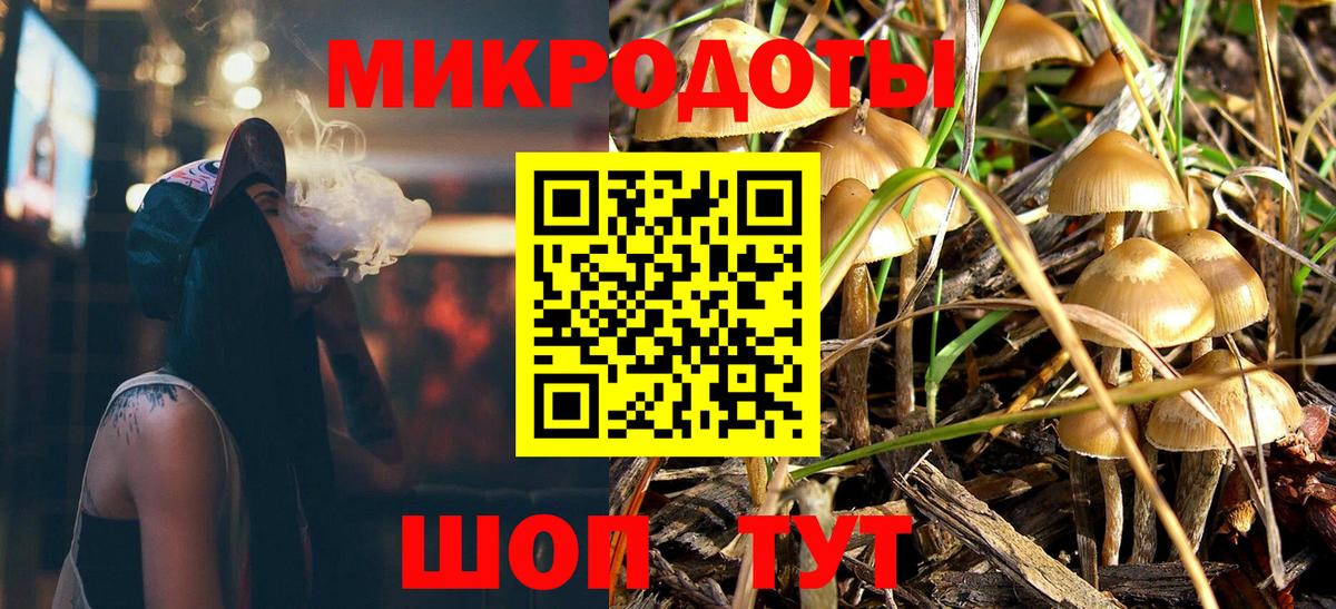 Галлюциногенные грибы Cubensis Тайшет